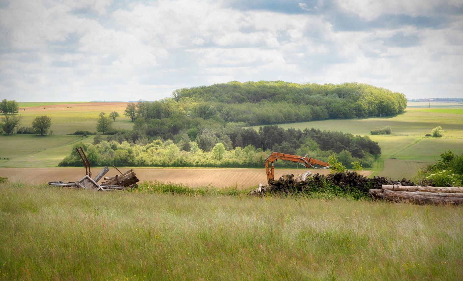 Gite De Charme, Grand Confort Marolles-sous-Lignieres Luaran gambar